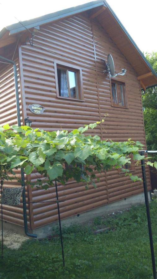 Hotel Базилік Yaremche Exterior foto
