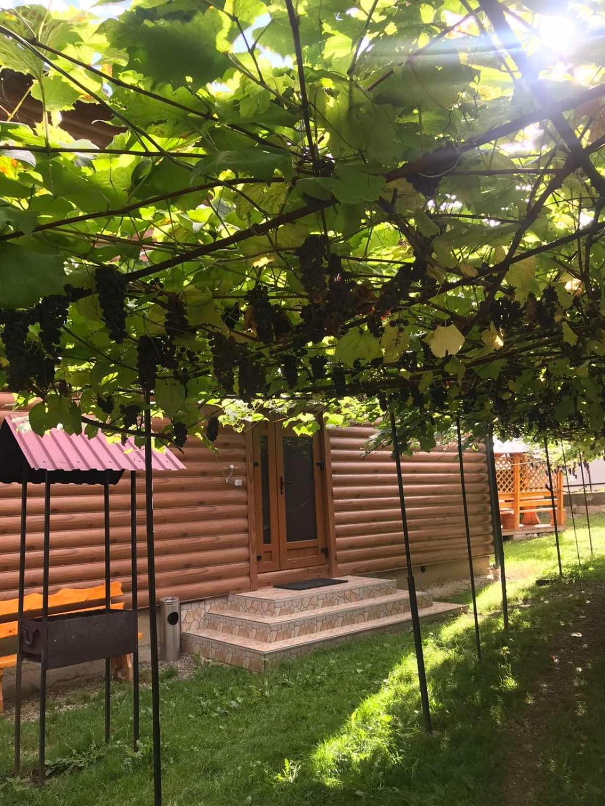 Hotel Базилік Yaremche Exterior foto
