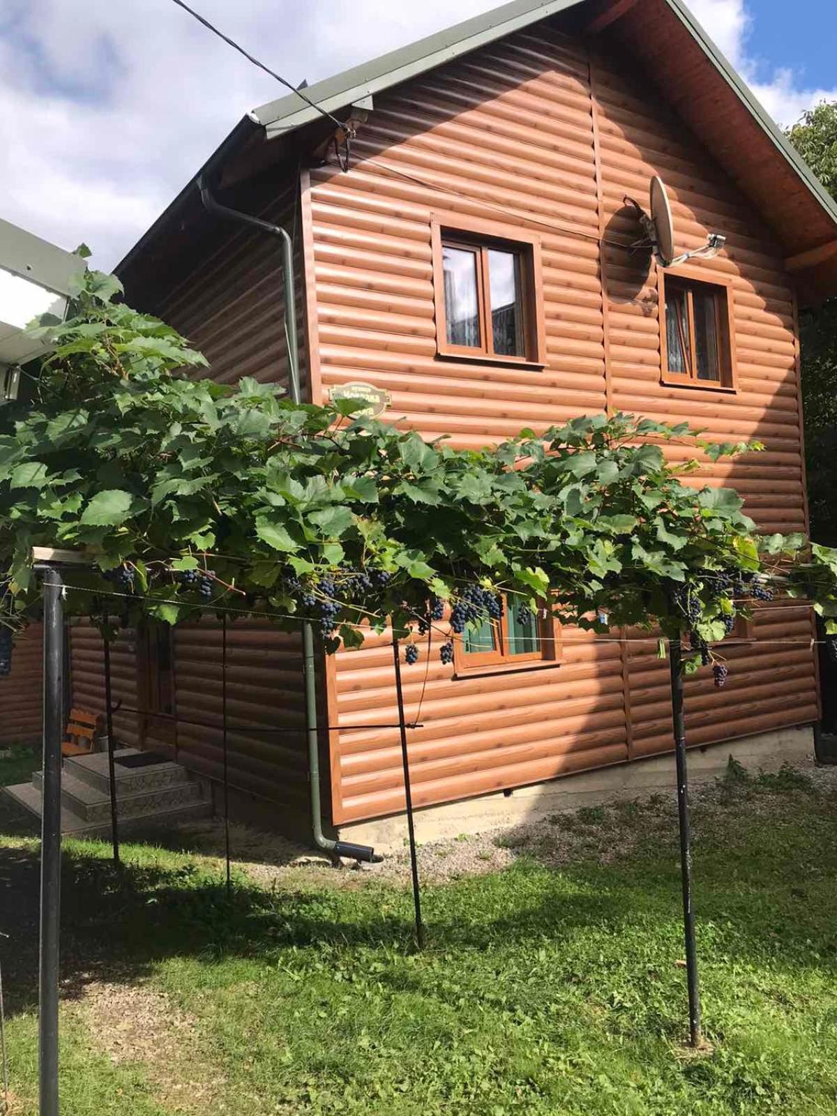Hotel Базилік Yaremche Exterior foto